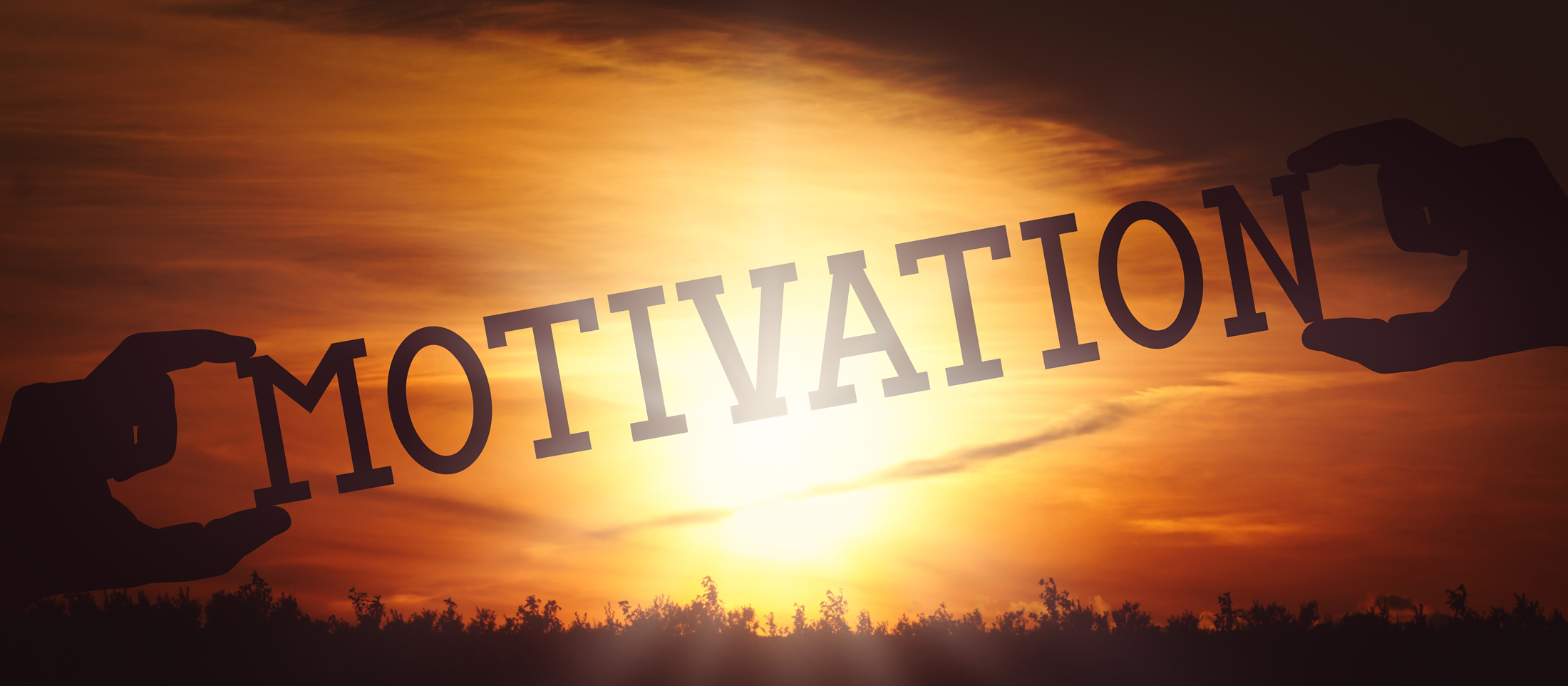Die Facetten der Motivation