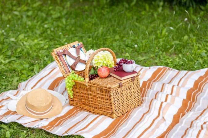 Picknickdecke Ratgeber
