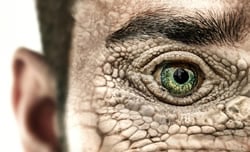 Reptiloiden beherrschen die Welt