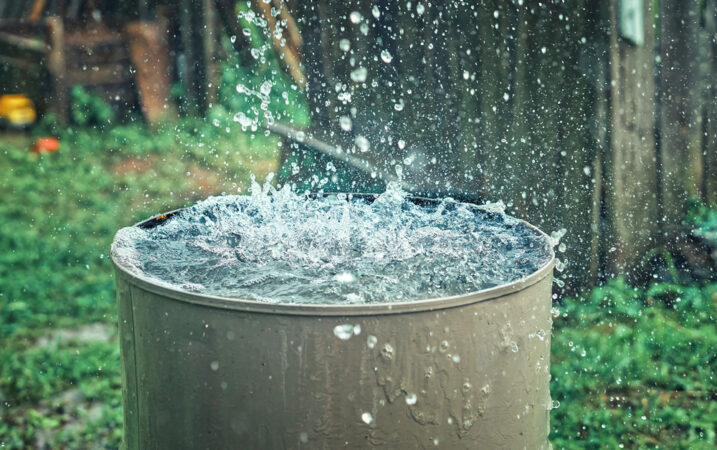 Regenwassernutzung – Tonne vs. Zisterne