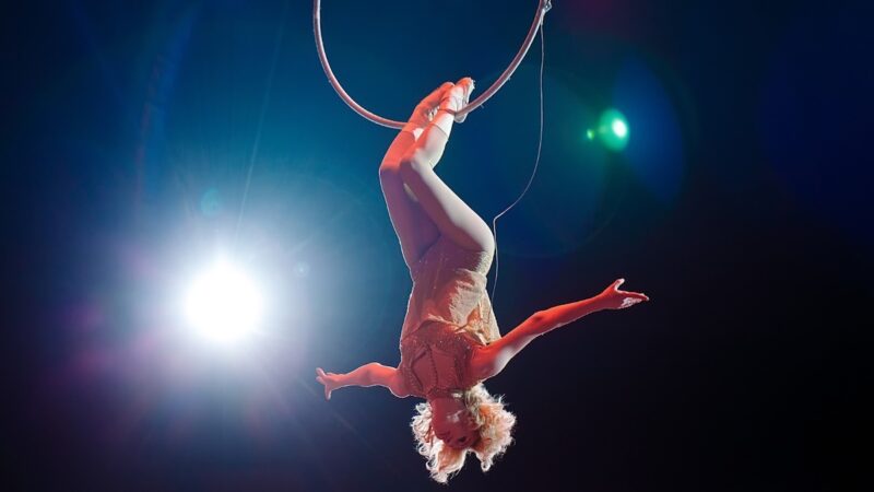 Emotionen in der Manege: Zirkus Charles Knie begeistert in Fulda