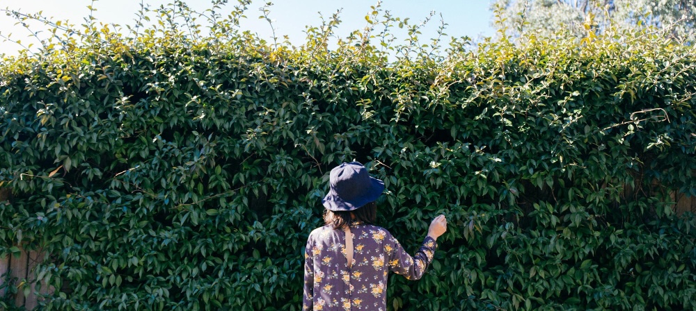 Sichtschutz im Garten