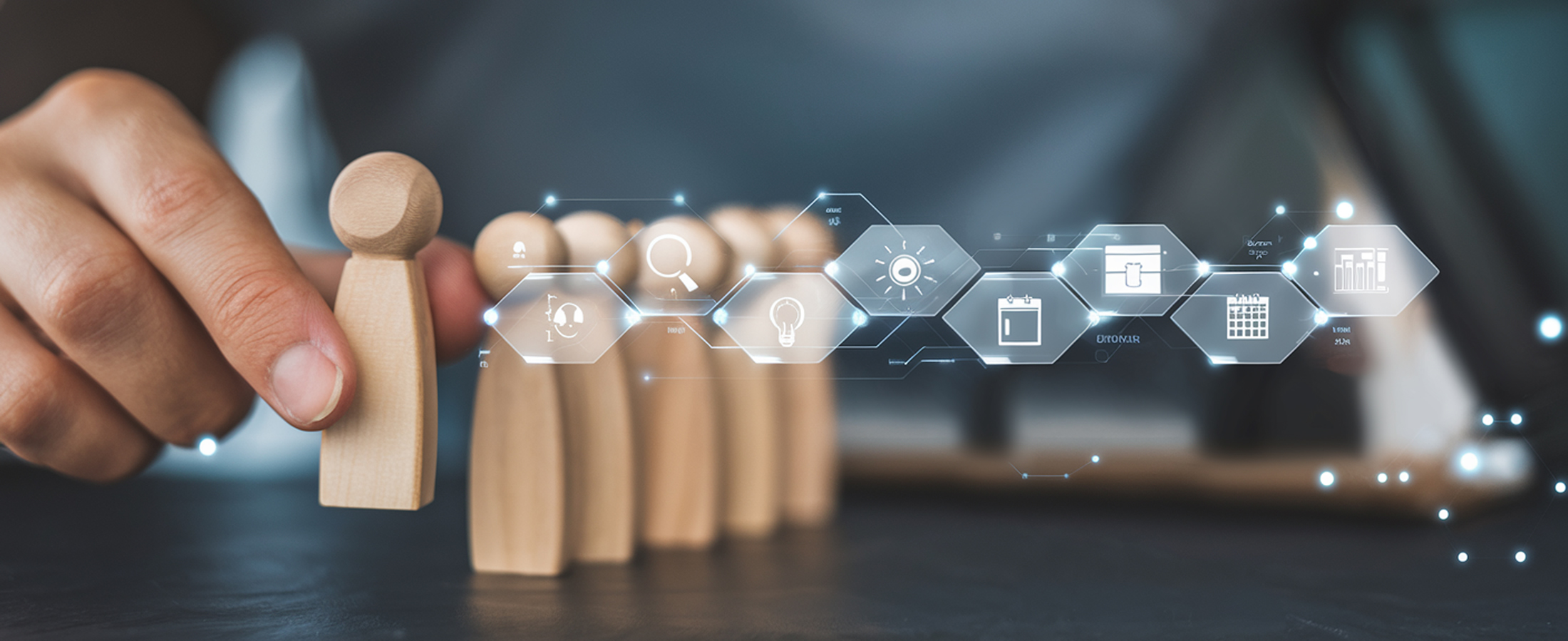 Organisation, Verwaltung & Management
