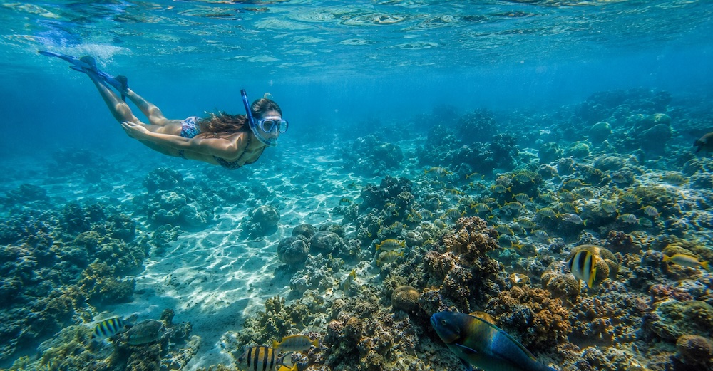 Küstenabenteuer und Unterwasserwelten