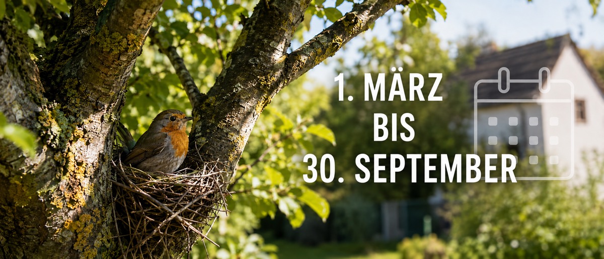 Die bundesweite Sperrzeit vom 1. März bis 30. September